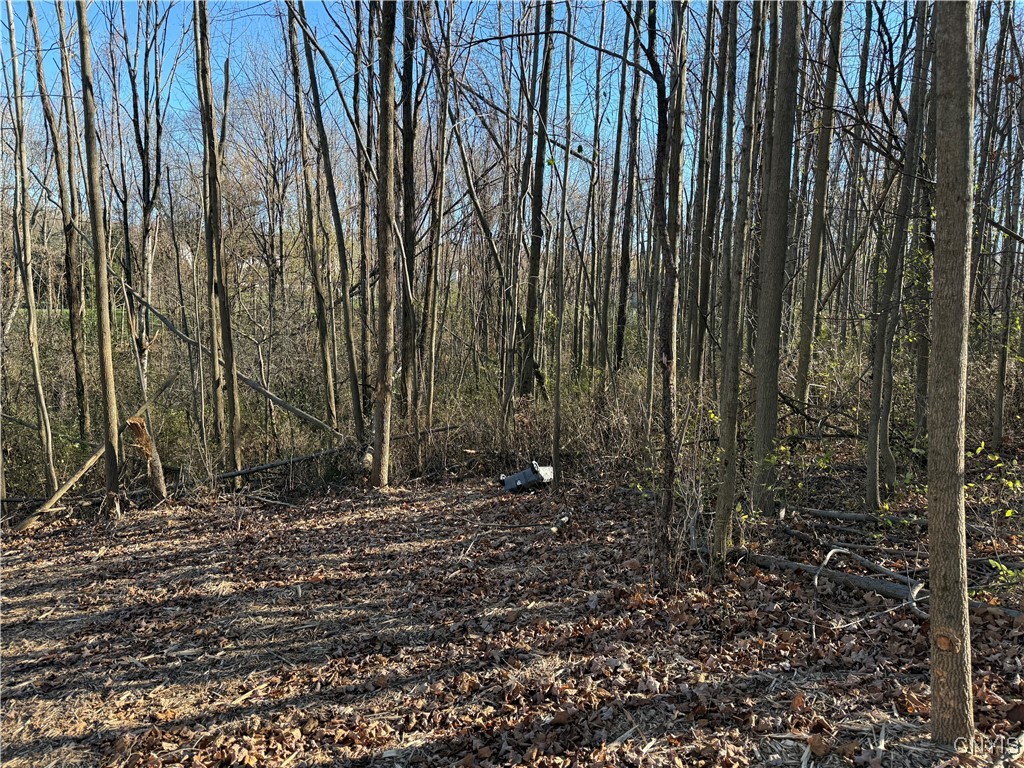 Hunt Road Camillus, NY 13031 - Photo 5 of 6