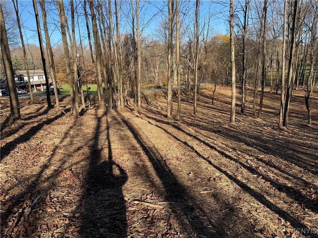 Hunt Road Camillus, NY 13031 - Photo 6 of 6