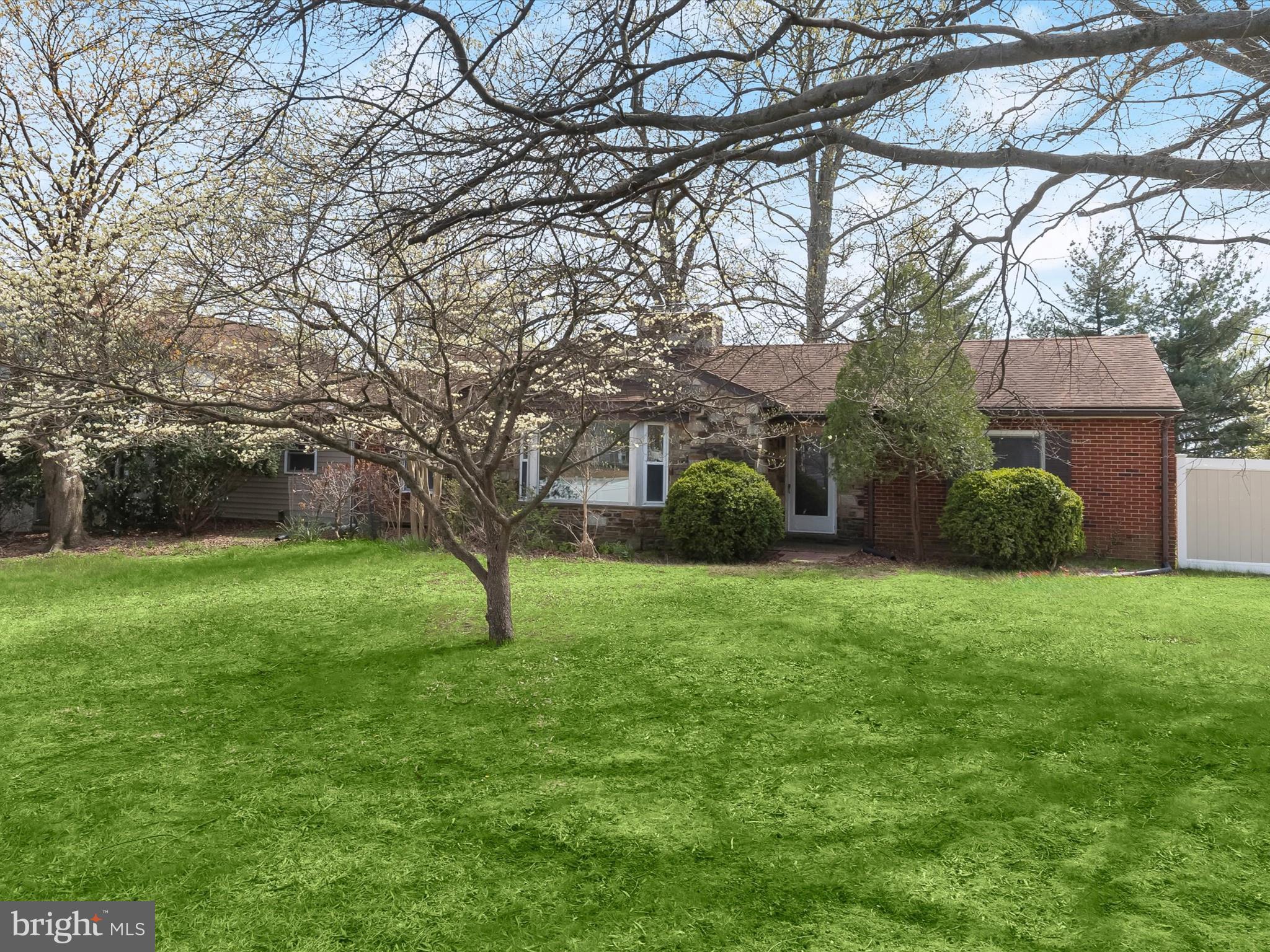 a view of a garden with a tree