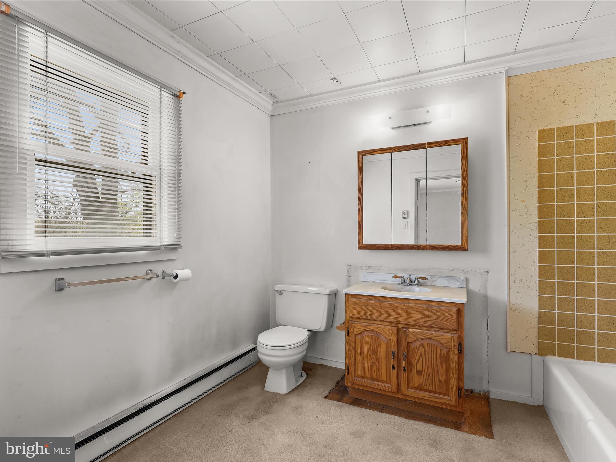 9151 Riverhill Road Laurel, MD 20723 - Photo 24 of 41 a bathroom with a toilet sink and mirror