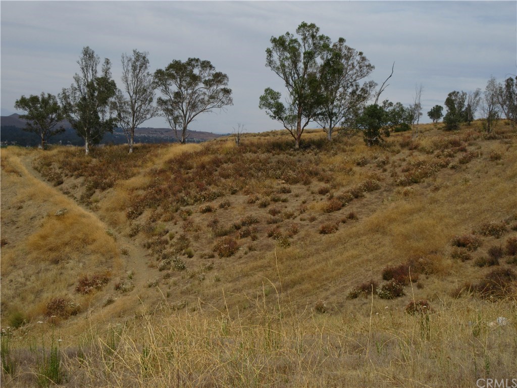 1 A Skyline Drive Riverside, CA 92501 - Photo 4 of 4 Gallery Image 4