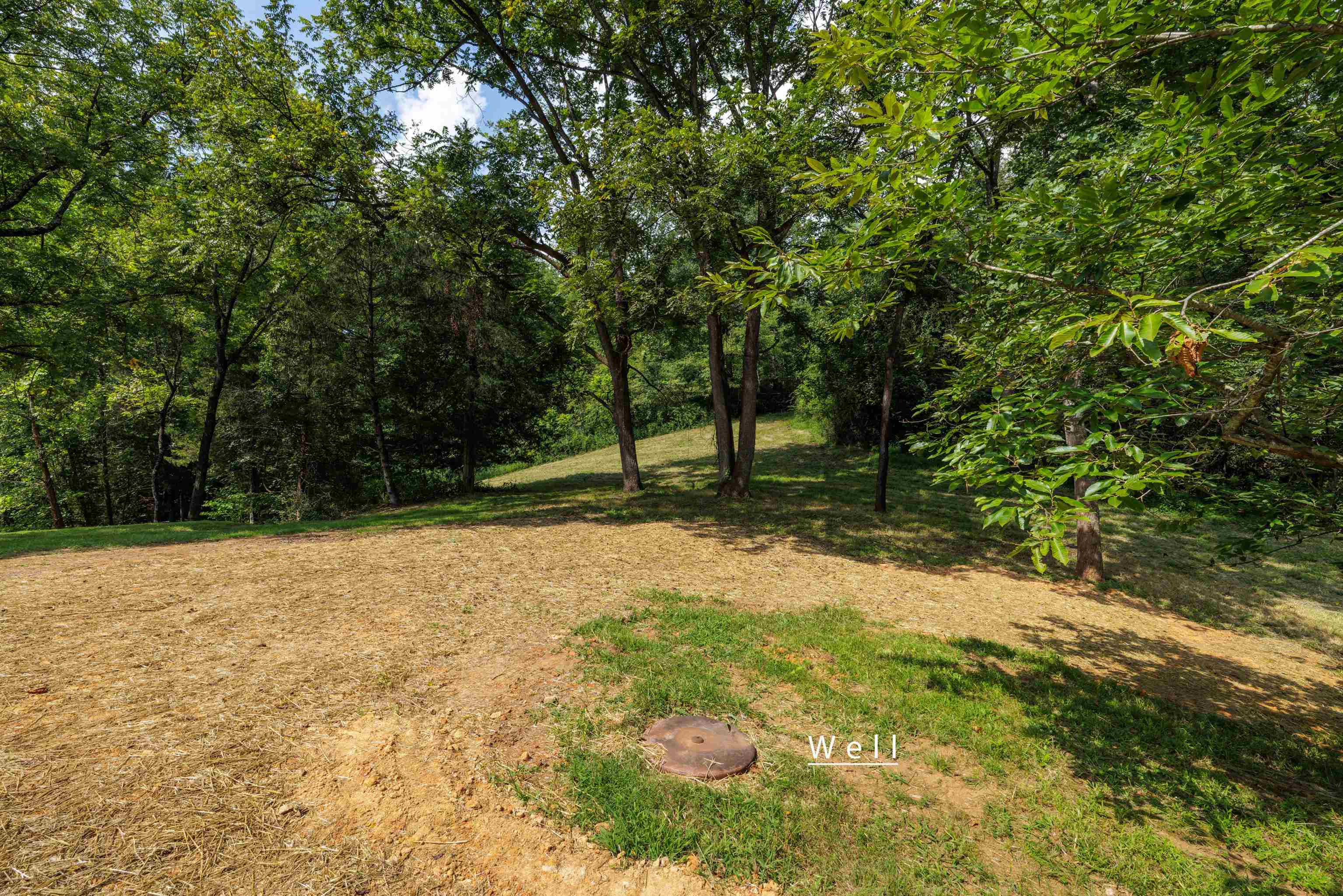 188 Pounding Branch Road Afton, VA 22920 - Photo 10 of 44 Gallery Image 10