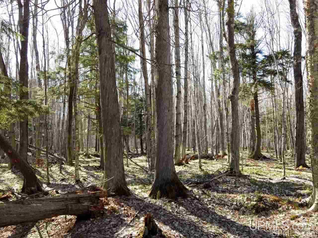 Tbd Off Pt Abbaye Road Lanse, MI 49946 - Photo 29 of 38 Gallery Image 29