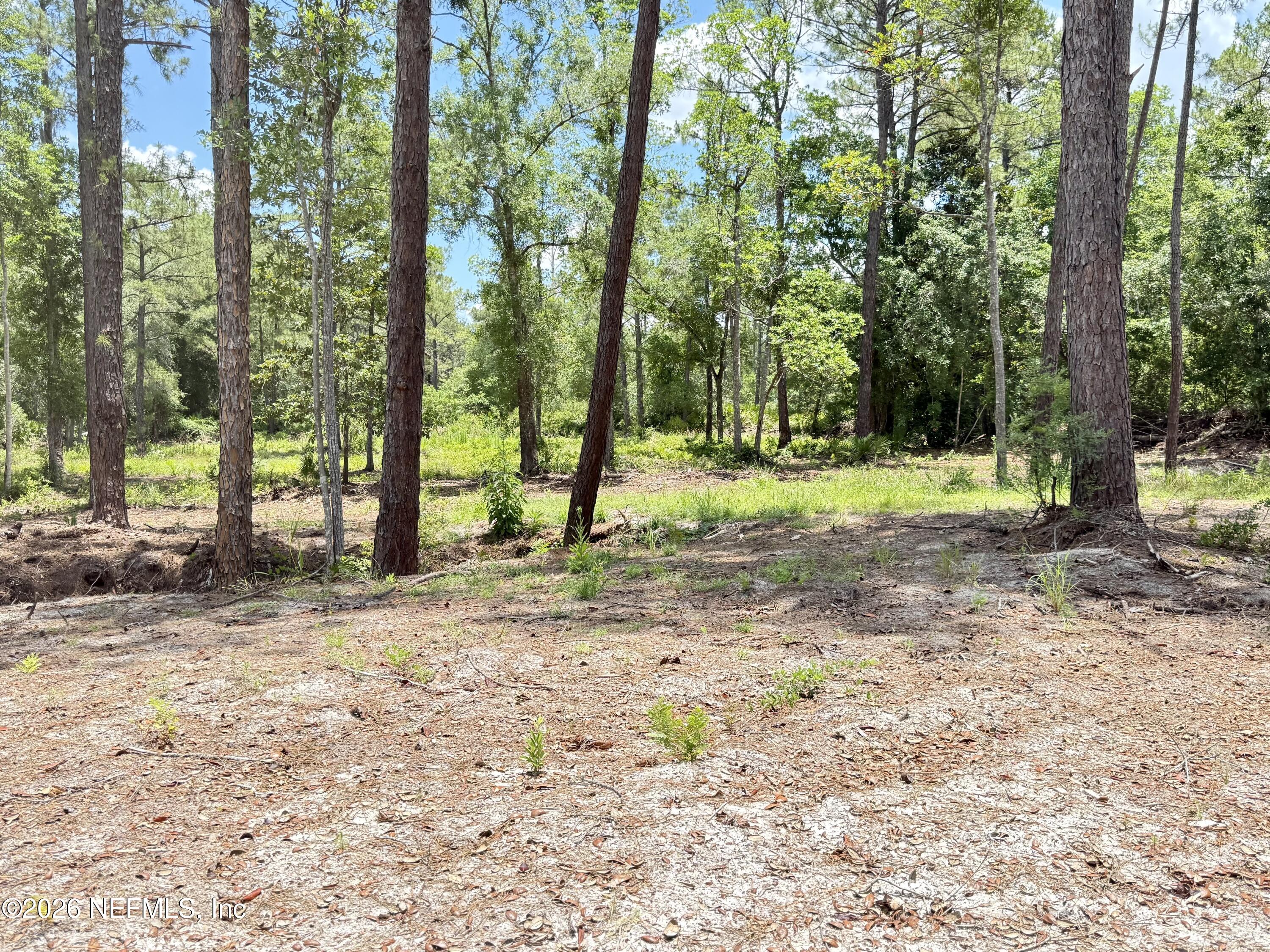 438 Chamberlain Road Satsuma, FL 32189 - Photo 14 of 21 IMG_2971