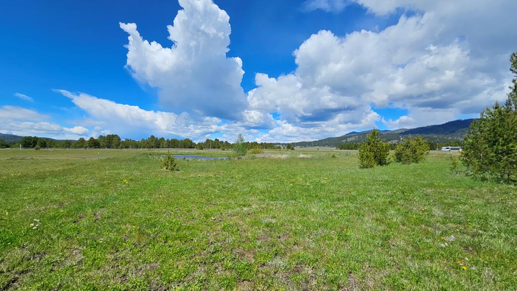 101 Sixty Lane Cascade, ID 83611 - Photo 33 of 52