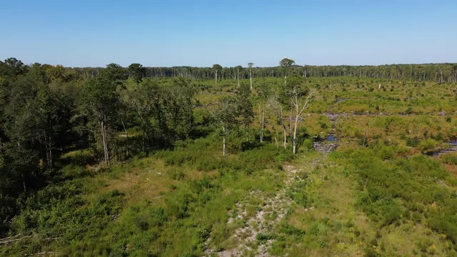 $415,500 | 0 Hwy 63 Ruffin Sc 29475, Islandton, SC 29929