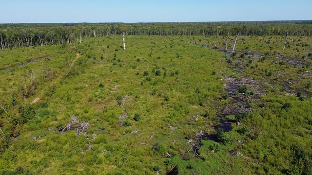 $415,500 | 0 Hwy 63 Ruffin Sc 29475, Islandton, SC 29929