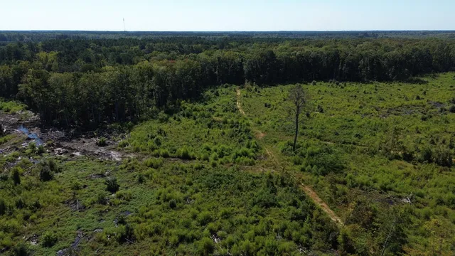 $415,500 | 0 Hwy 63 Ruffin Sc 29475, Islandton, SC 29929