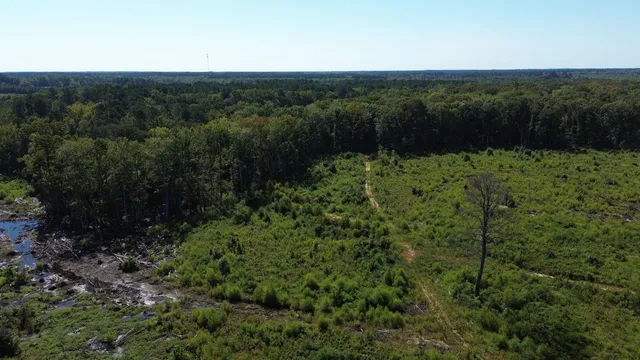 $415,500 | 0 Hwy 63 Ruffin Sc 29475, Islandton, SC 29929