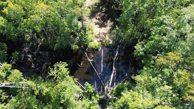 $415,500 | 0 Hwy 63 Ruffin Sc 29475, Islandton, SC 29929