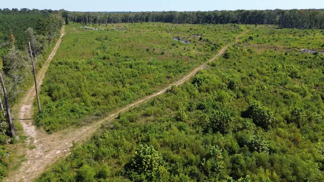 $415,500 | 0 Hwy 63 Ruffin Sc 29475, Islandton, SC 29929