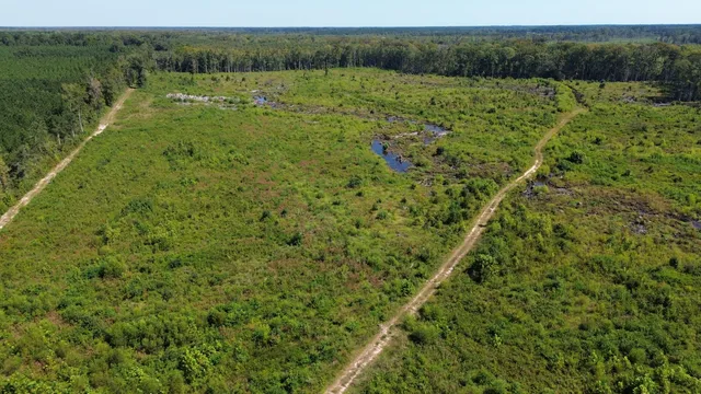 $415,500 | 0 Hwy 63 Ruffin Sc 29475, Islandton, SC 29929