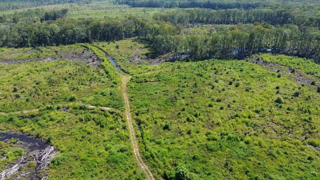 $415,500 | 0 Hwy 63 Ruffin Sc 29475, Islandton, SC 29929