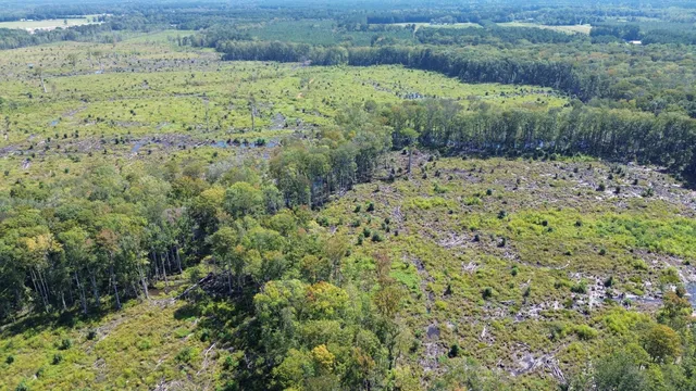 $415,500 | 0 Hwy 63 Ruffin Sc 29475, Islandton, SC 29929