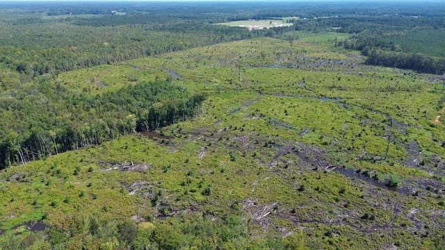 $415,500 | 0 Hwy 63 Ruffin Sc 29475, Islandton, SC 29929