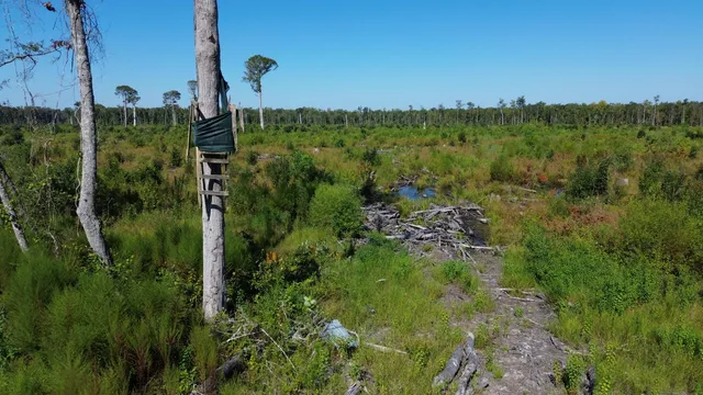 $415,500 | 0 Hwy 63 Ruffin Sc 29475, Islandton, SC 29929