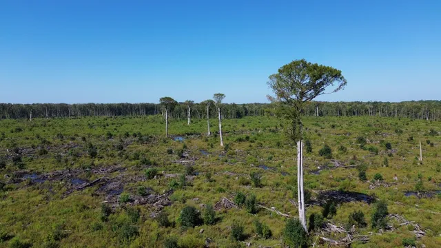 $415,500 | 0 Hwy 63 Ruffin Sc 29475, Islandton, SC 29929