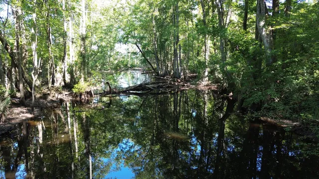 $415,500 | 0 Hwy 63 Ruffin Sc 29475, Islandton, SC 29929