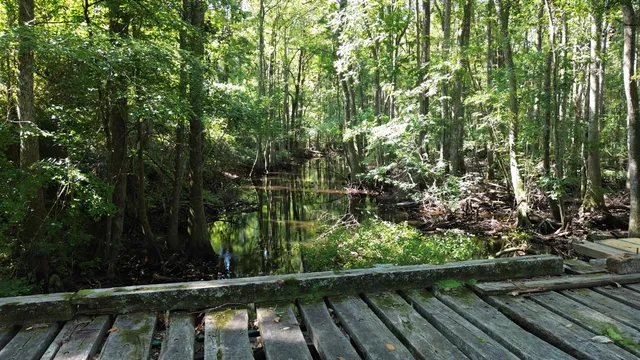 $415,500 | 0 Hwy 63 Ruffin Sc 29475, Islandton, SC 29929