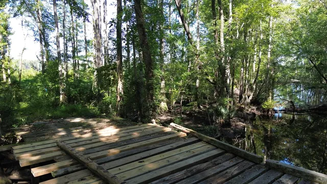 $415,500 | 0 Hwy 63 Ruffin Sc 29475, Islandton, SC 29929