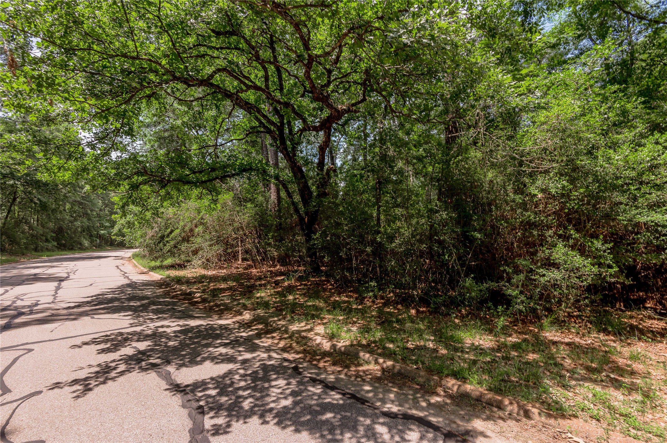 Tbd Doral Drive Point Blank, TX 77364 - Photo 4 of 10