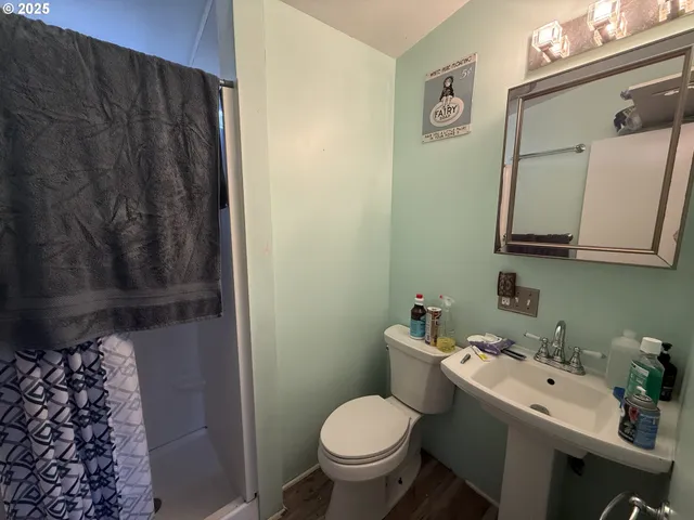 a view of a back yard of the house