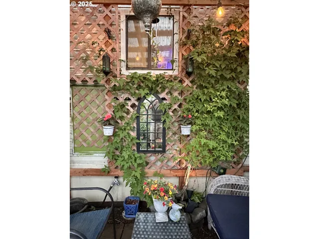 a view of a potted flower in a yard