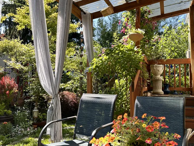 a view of a flower in a yard