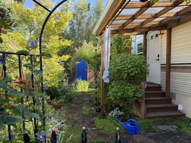 a view of a back yard