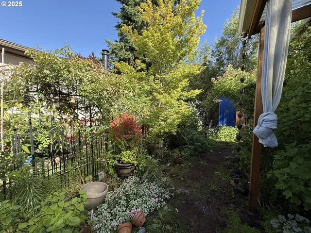 a pink plant in front of a house