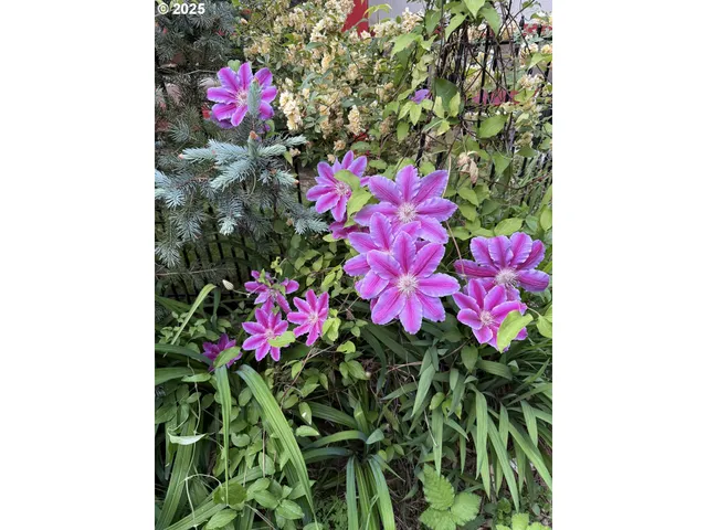 a room with lots of windows and glass door