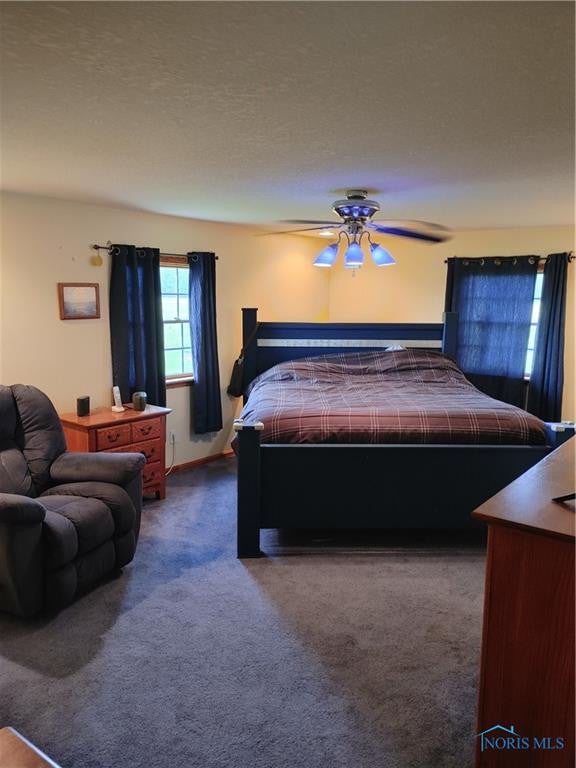 27525 Hoffman Road Defiance, OH 43512 - Photo 11 of 29 Gallery Image 11