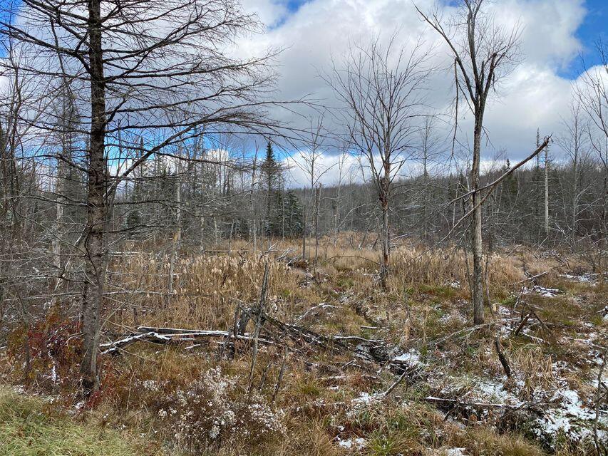 140 Works Road Jackson, ME 04921 - Photo 14 of 38 14