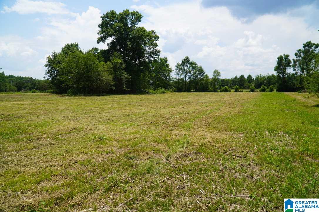 7952 Kimbrell Cutoff Road McCalla, AL 35111 - Photo 41 of 41