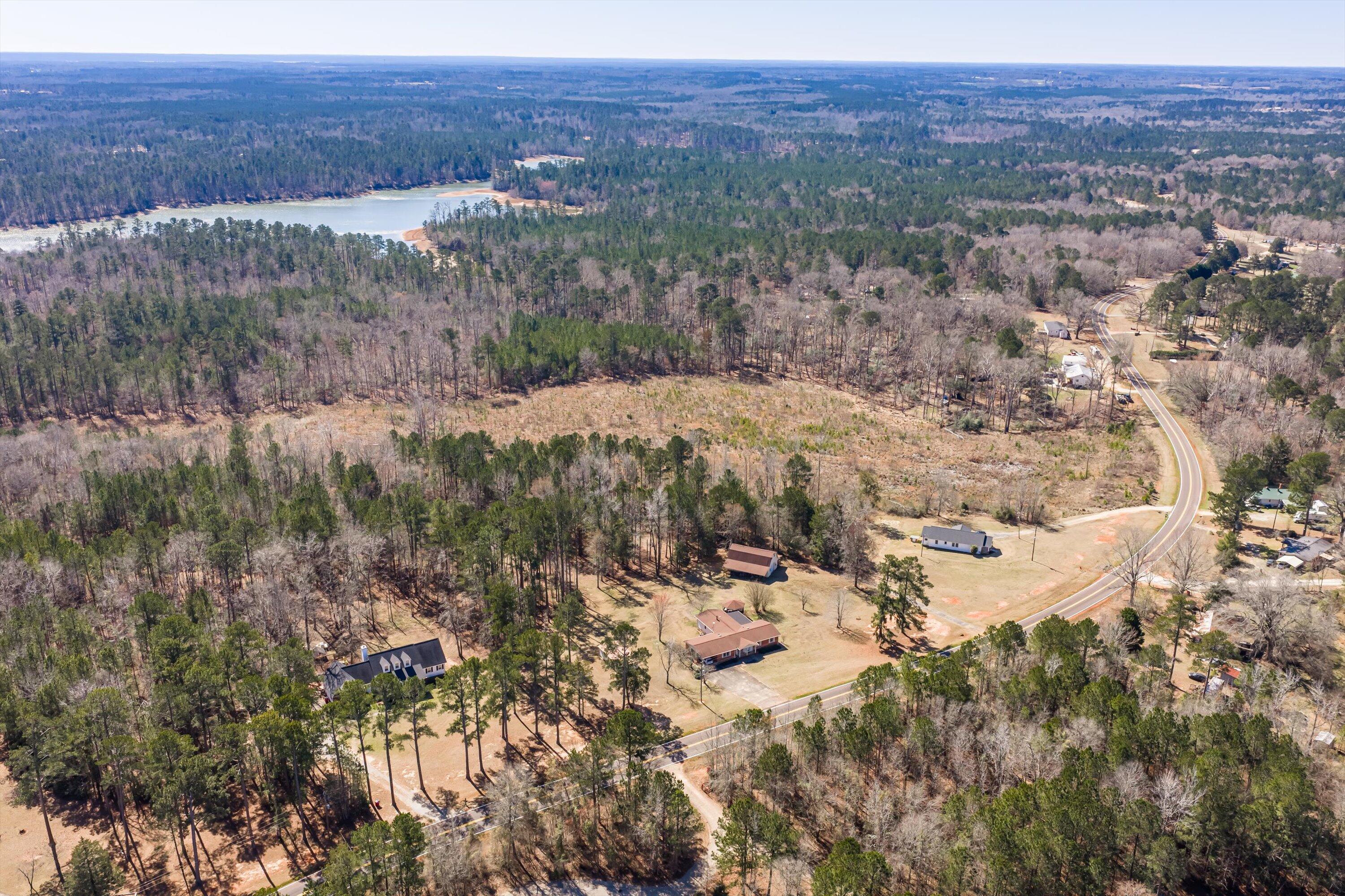 59047 Chamberlain S Ferry Road Lincolnton, GA 30817 - Photo 7 of 26 Natural Privacy with Tree Line Buffer