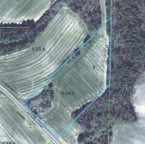 0 Richardson Road Spring Spring Spring Hope, NC 27882 - Photo 1 of 3 Primary Photo