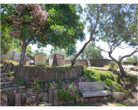 374 Mercedes Road Fallbrook, CA 92028 - Photo 18 of 24