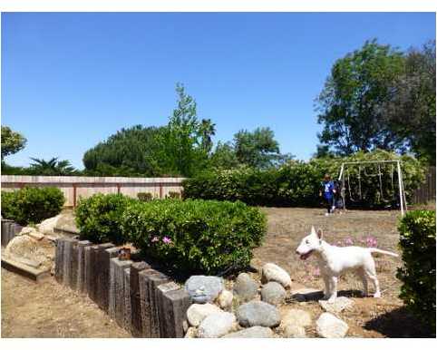 374 Mercedes Road Fallbrook, CA 92028 - Photo 20 of 24
