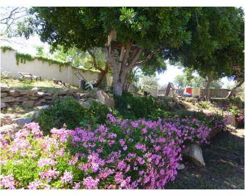 374 Mercedes Road Fallbrook, CA 92028 - Photo 24 of 24