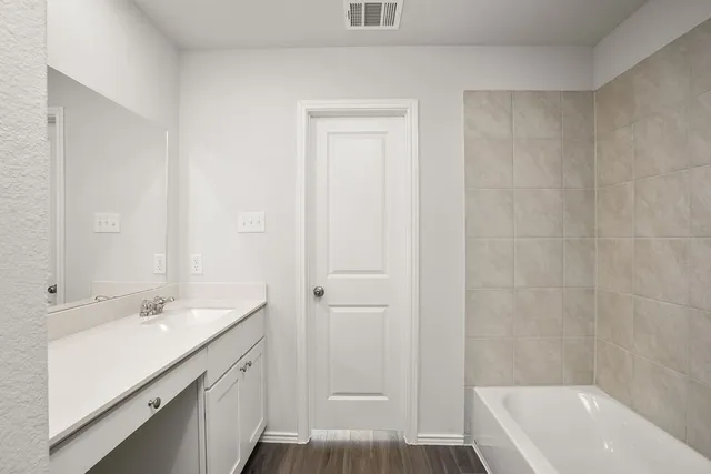 a bathroom with a tub sink vanity and a mirror
