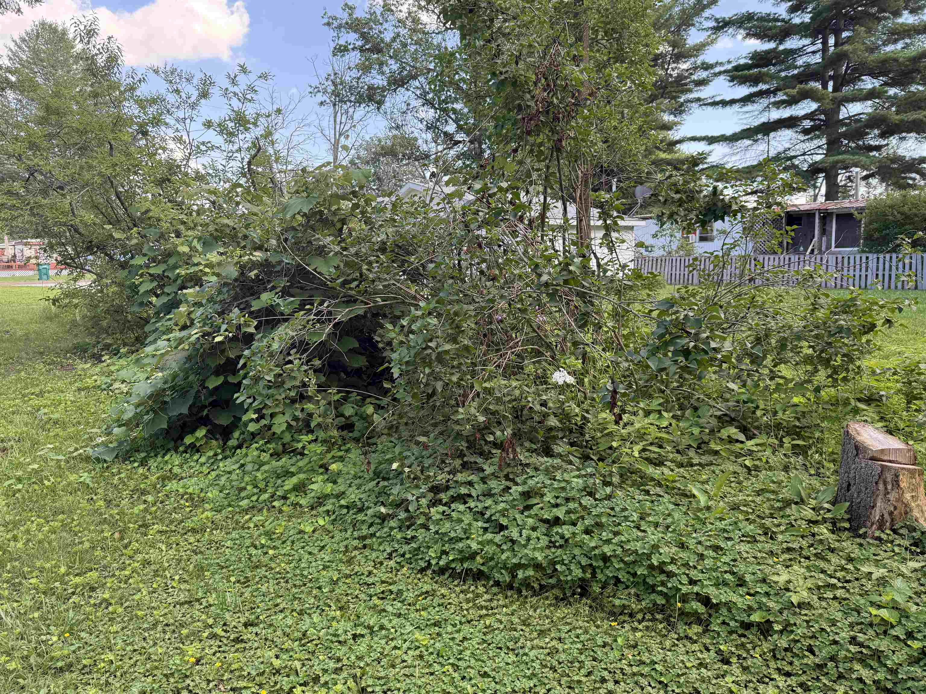 4465 Filter Road Harrison, MI 48625 - Photo 33 of 35 1928685-c2cc76ff-3dc2-4ff6-ba71-384eeeb548ac.JPG