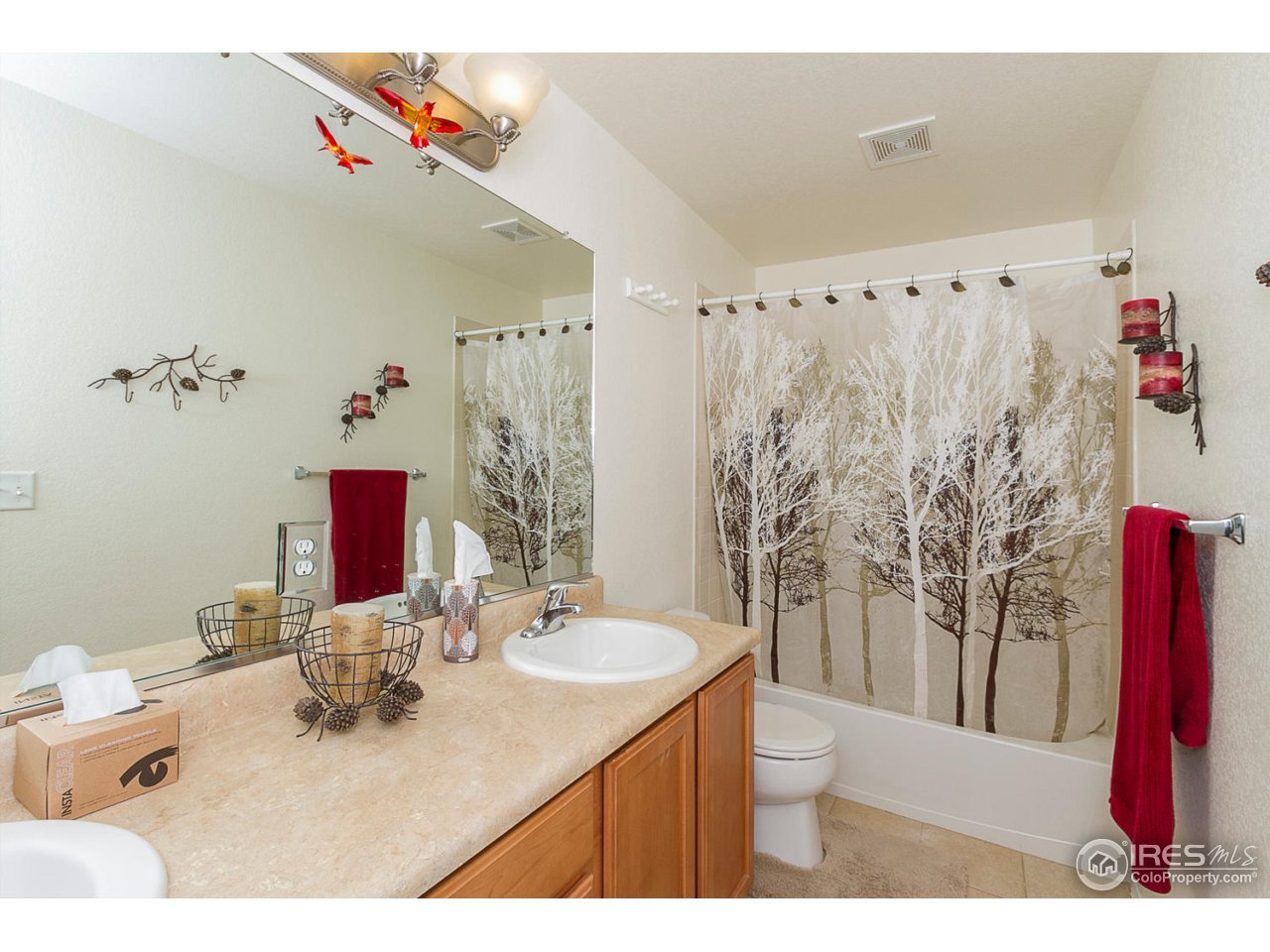 1409 Reeves Drive Fort Collins, CO 80526 - Photo 16 of 21 Bathroom