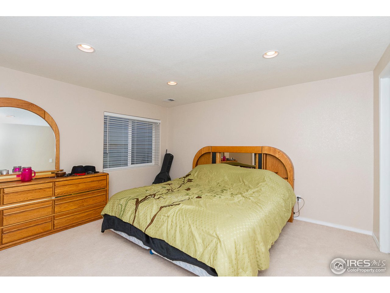1409 Reeves Drive Fort Collins, CO 80526 - Photo 17 of 21 Basement Bedroom
