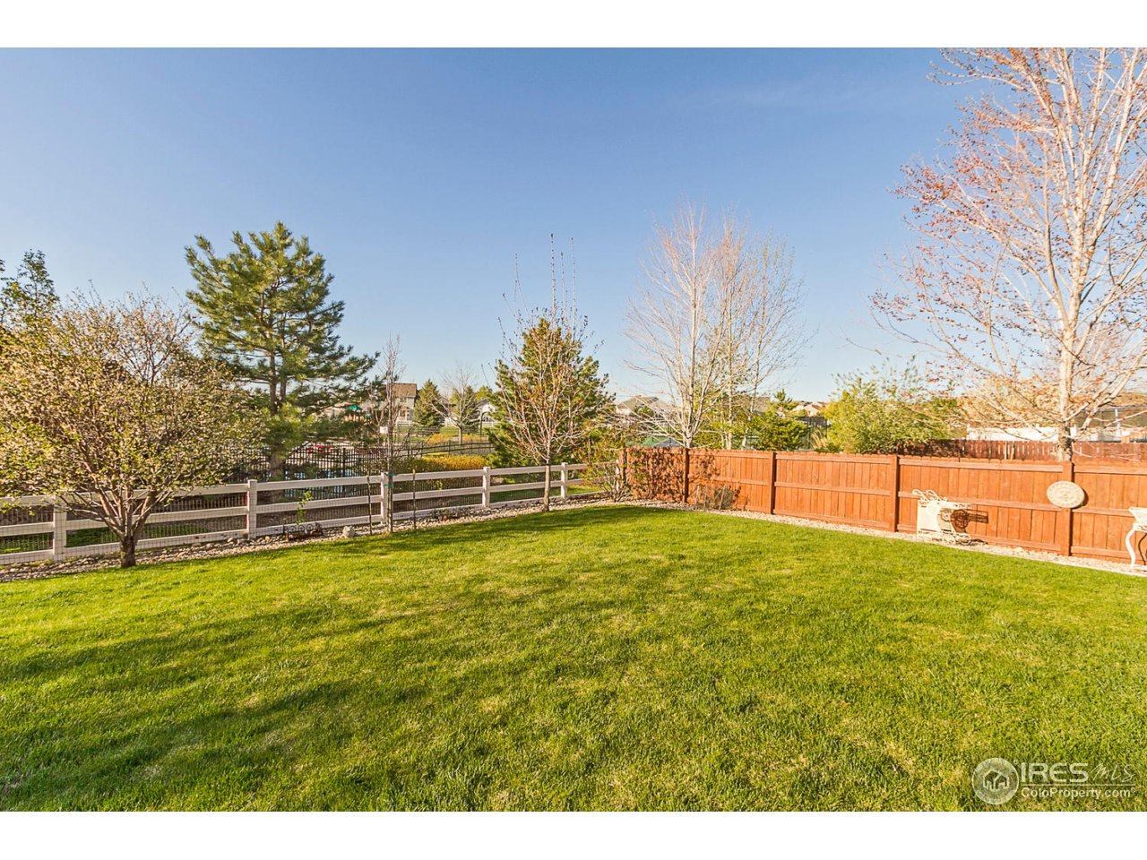 1409 Reeves Drive Fort Collins, CO 80526 - Photo 20 of 21 Fenced Backyard