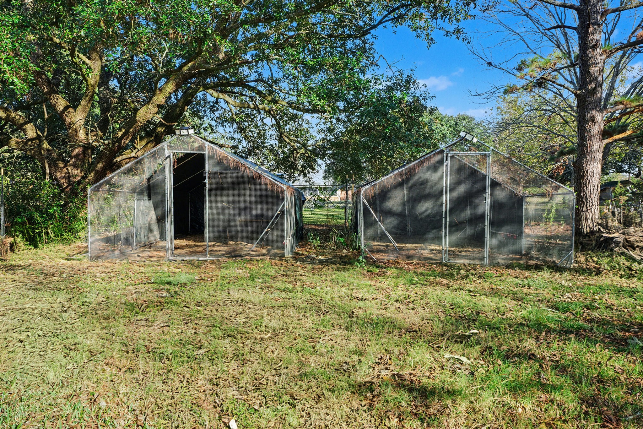 4802 Crosby Cedar Bayou Road Baytown, TX 77521 - Photo 23 of 28 a backyard of a house with large trees and table and chairs