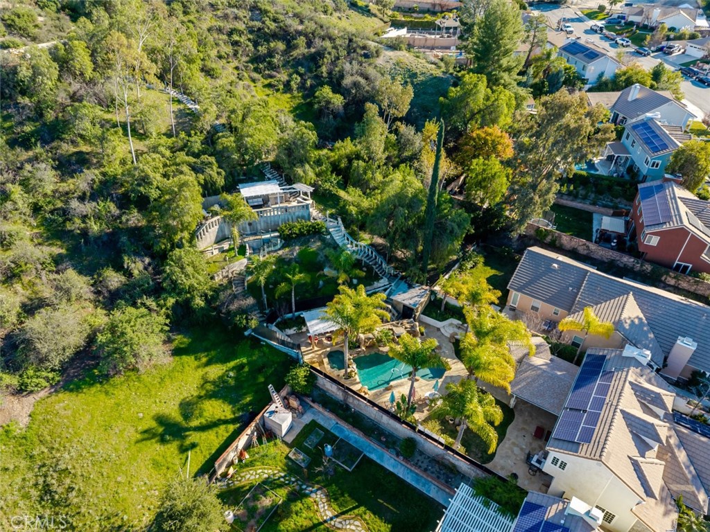 31256 Quail Valley Road Castaic, CA 91384 - Photo 25 of 31 a view of a yard with plants