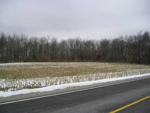 0 Old Springfield Road South Charleston, OH 45368 - Photo 1 of 1