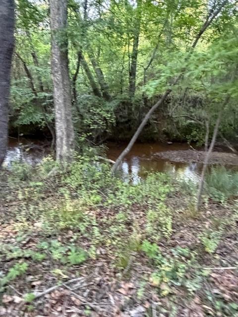 1330 Mc Cannon-Morris Road Colbert, GA 30628 - Photo 58 of 63