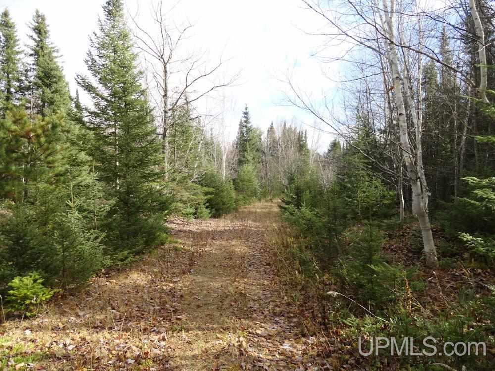 6784 32nd Road Rapid River, MI 49878 - Photo 15 of 36 Gallery Image 15