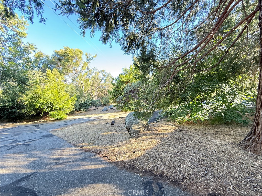5452 Carleton Road Mariposa, CA 95338 - Photo 13 of 57